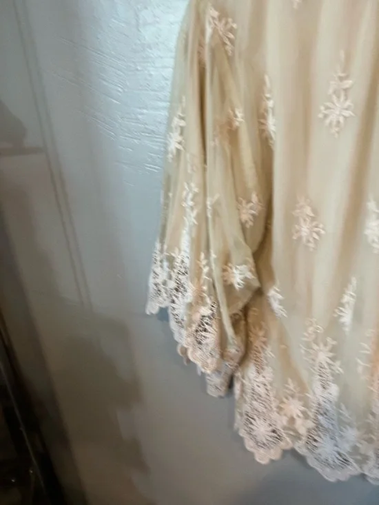 Zara Sheer Embroidered Kimono in Beige with White Lace - Picture 2 of 16